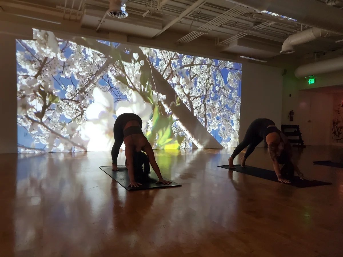 A class in practice at Kosha 5