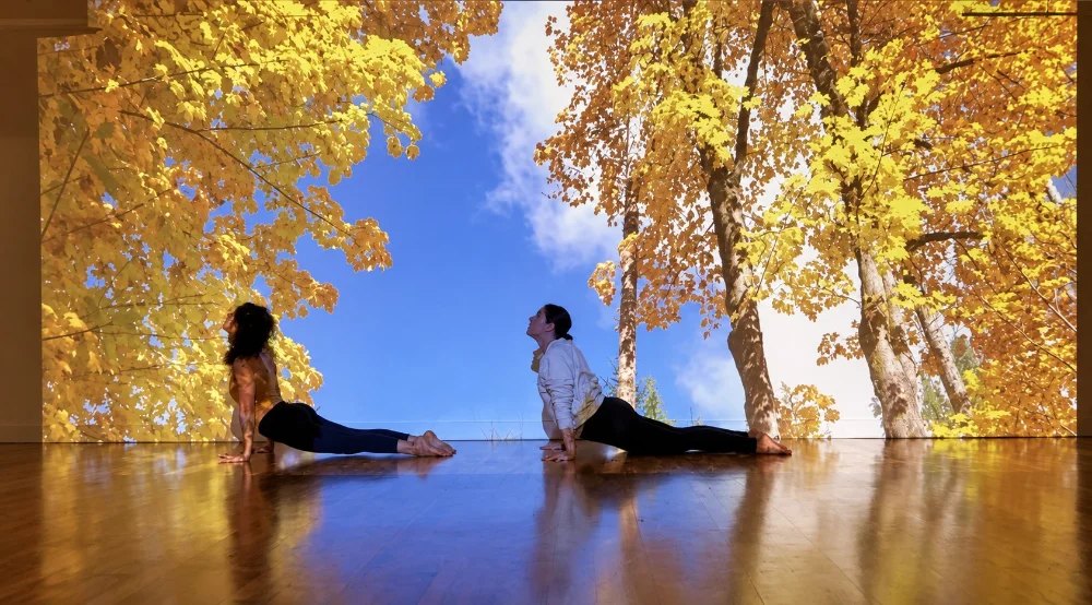 Two students in upward-facing dog at Kosha 5 Yoga Studio, Fullerton